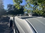 IMG_9644.jpeg