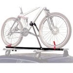 upright bike.jpg